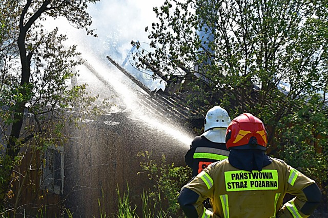 Pożar pustostanu na granicy Sędziszowej i Zborowic. Na miejscu pracuje kilka jednostek straży pożarnej