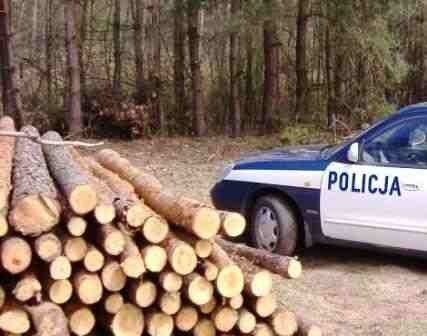 Policjanci zatrzymali małżeństwa kradnące drewno w lesie