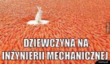 Beka ze ŚLĄSKICH uczelni! Co śmieszy internautów? Pod lupą Uniwersytet Śląski, Politechnika Śląska i inne... 