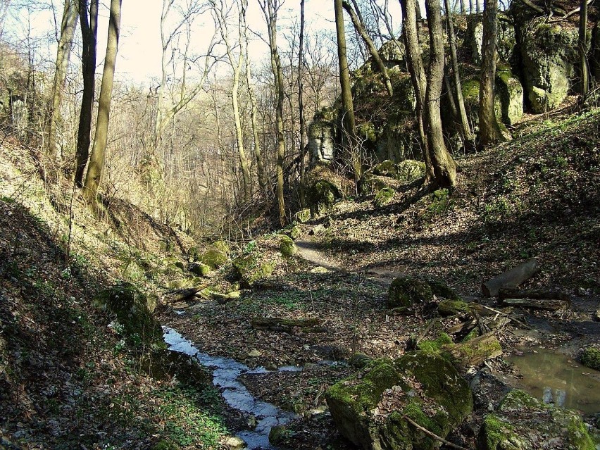 2. Las Wolski
A może klimaty leśne? Jeśli tak to koniecznie...