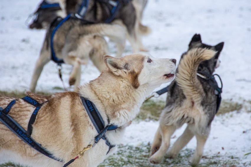 Zakopane odwiedził św. Mikołaj. Wesoły festyn dla dzieci pod Giewontem [ZDJĘCIA]