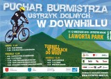 Zawody w Downhill o Puchar Burmistrza Ustrzyk Dolnych
