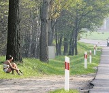 Policja, straż miejska i leśna ruszają do walki z prostytucją