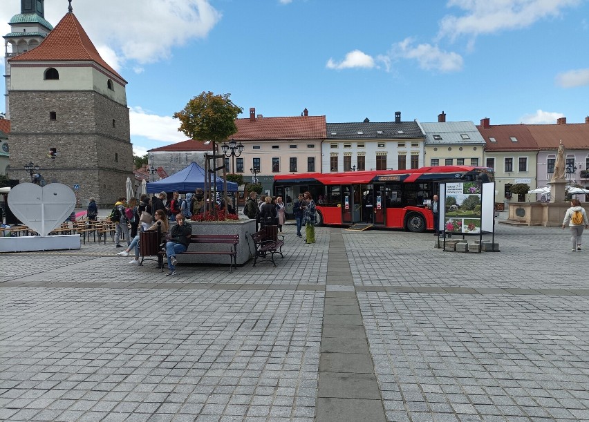 Żywiecki Rynek. Akcja wymiany roślin z Miejskim Centrum Ekologicznym