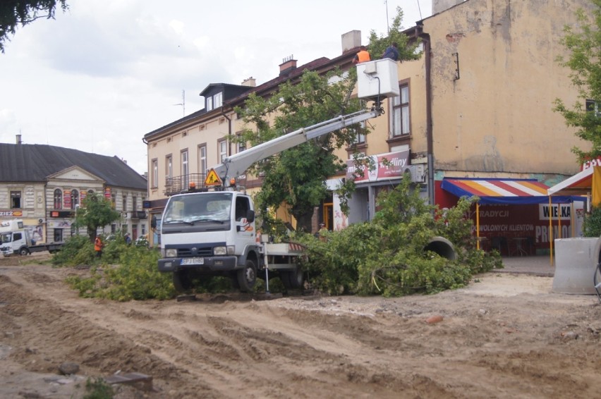 Radomsko: Na ul. Reymonta kontynuują wycinkę drzew [ZDJĘCIA]