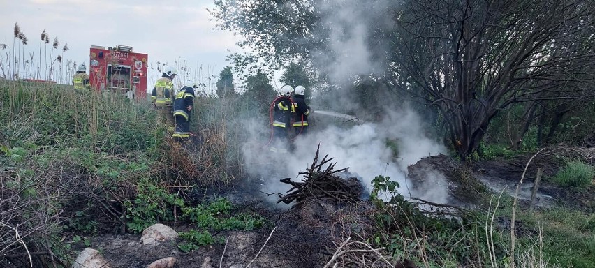 Pożar nieużytków w gminie Dobrzyca - 13 maja 2022 roku