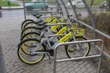 Bolesławiec stawia na rowery miejskie. Można je już wypożyczyć! 