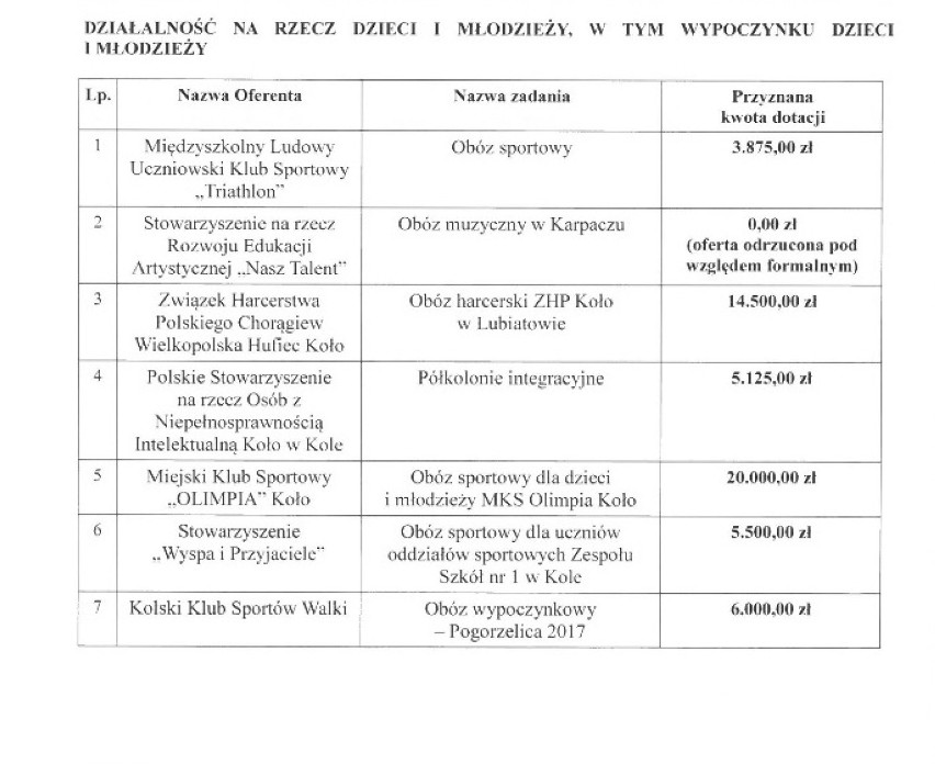 Działalność na rzecz dzieci i młodzieży, w tym wypoczynku dzieci i młodzieży