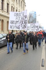 Hodowcy trzody chlewnej w Łodzi. Protest na ul. Piotrkowskiej [ZDJĘCIA]