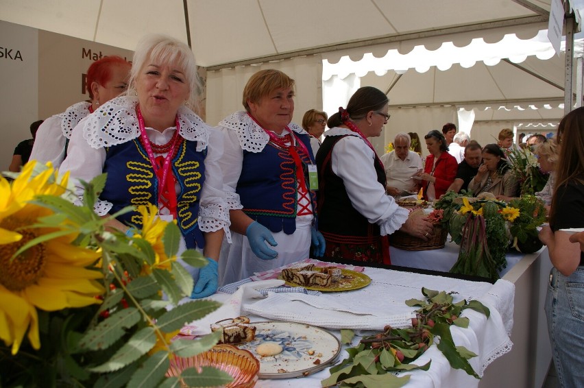 Małopolski Festiwal Smaku zagościł na Rynku w Gorlicach. Gospodynie uwijają się i częstują domowymi smakołykami