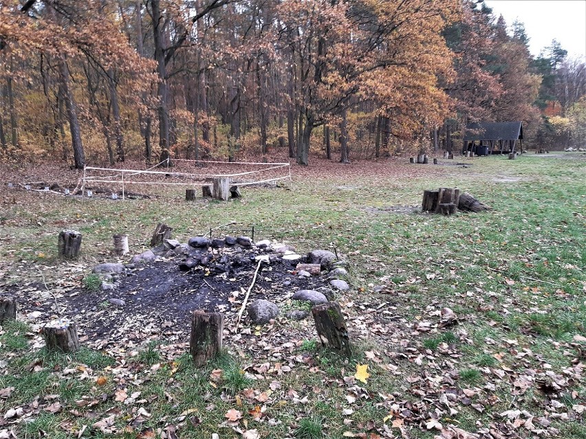 Na polu namiotowym przy ul. Spacerowej w Goleniowie pojawi...