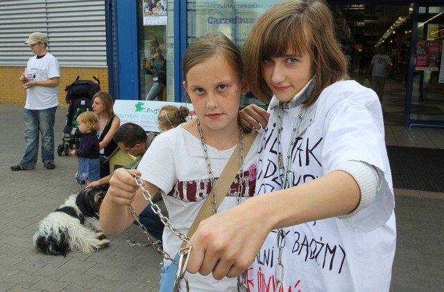 Piotrkowscy gimnazjaliści protestują przeciw przywiązywaniu psów łańcuchem do budy
