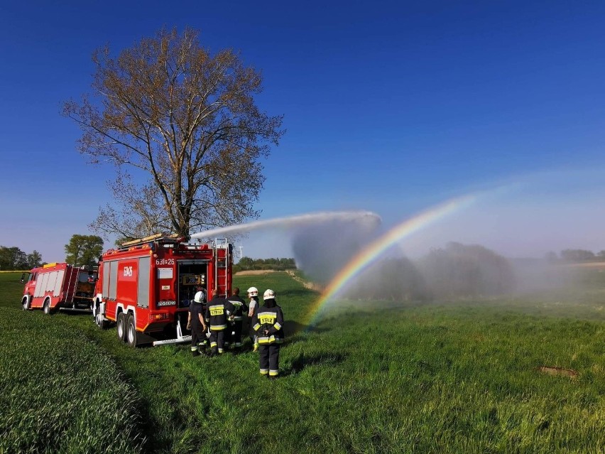 Strażacy z OSP w Gołańczy zostali wezwani do pożaru trawy