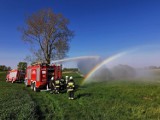 Pożar trawy i krzewów w Rybowie pod Gołańczą. Interweniowała straż pożarna  