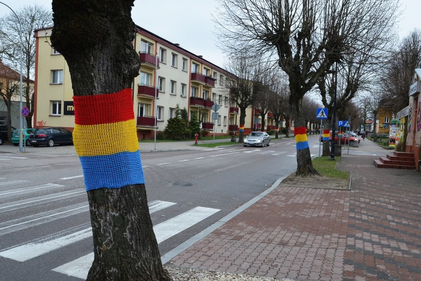 Tęczowe osłonki zdobią drzewa przy ulicy Ludowej w...