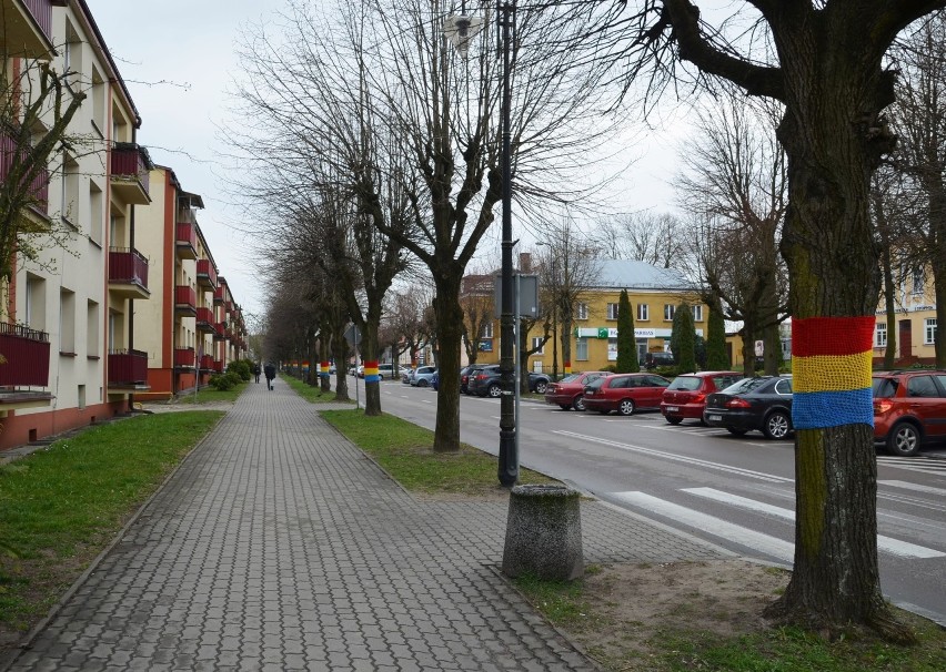 Tęczowe osłonki zdobią drzewa przy ulicy Ludowej w...