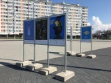 Wystawa plakatów proekologicznych już na placu Zwycięstwa w Oleśnicy