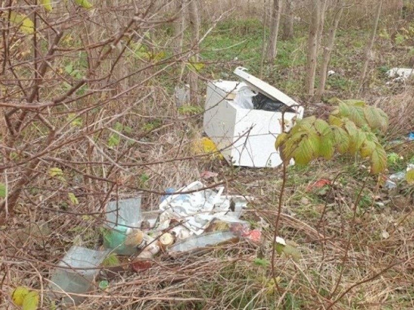 Nie płacą za śmieci i tworzą "dzikie" wysypiska w Wejherowie
