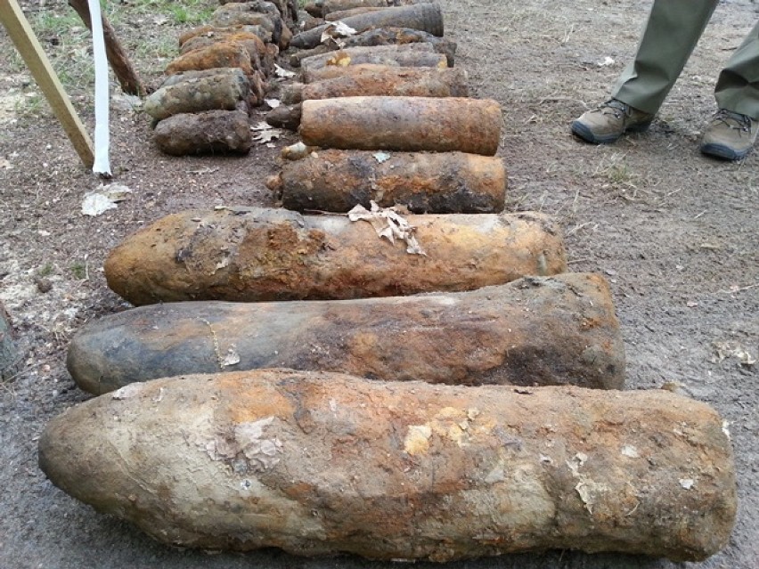 Tysiące sztuk amunicji, pocisków i bomb w podłódzkich lasach. Saperzy rozminowują nadleśnictwa