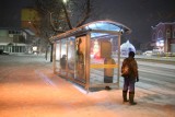 Zima w Wałbrzychu. W nocy rozpoczęły się opady śniegu (ZDJĘCIA)