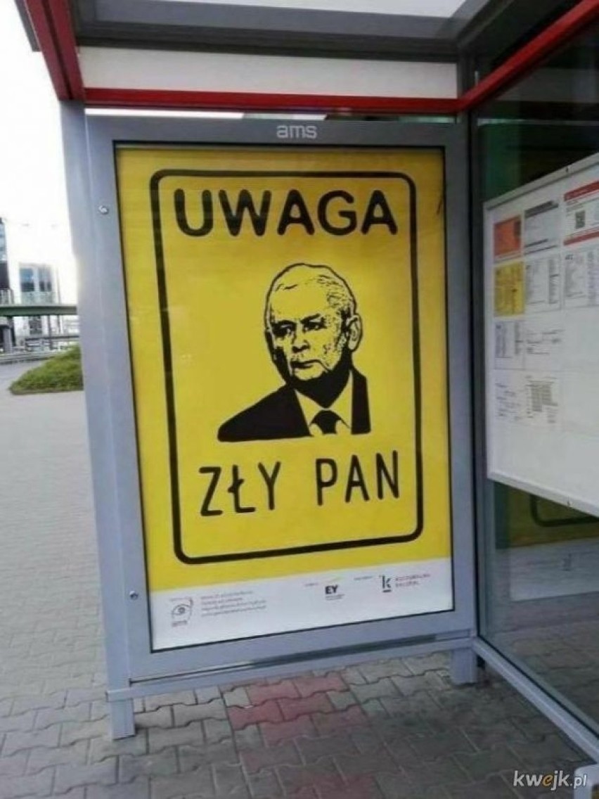 Najlepsze MEMY o Jarosławie Kaczyńskim. Jedni go kochają, inni nienawidzą [GALERIA] 