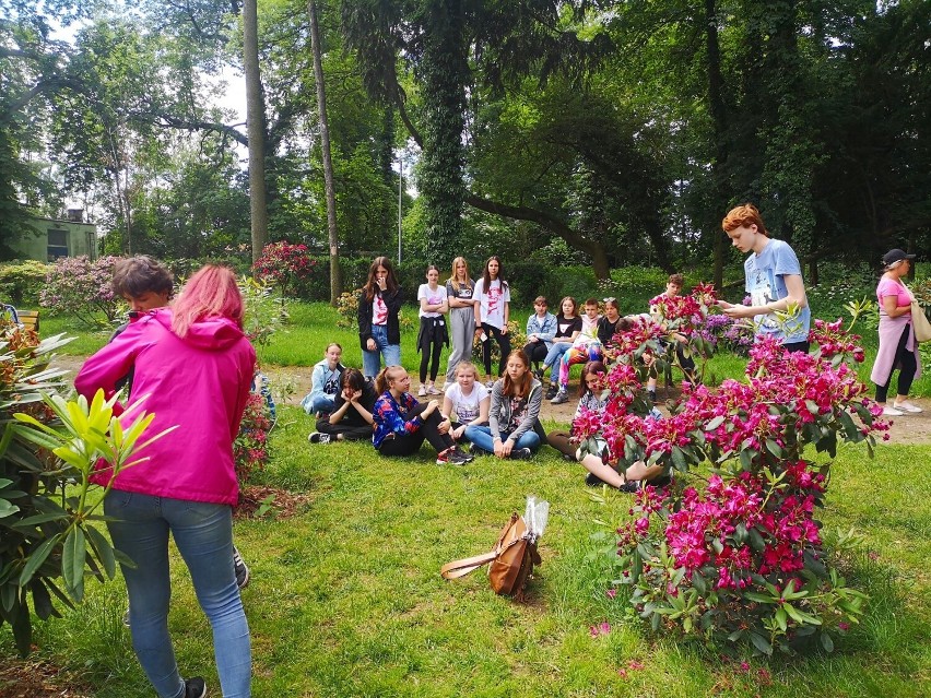 Park Dendrofarma przy pałacu w Dalkowie. Warto zobaczyć to...