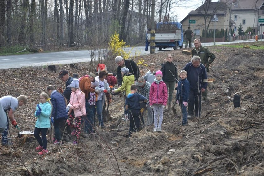 Dzieci sadziły drzewa w Radlinie