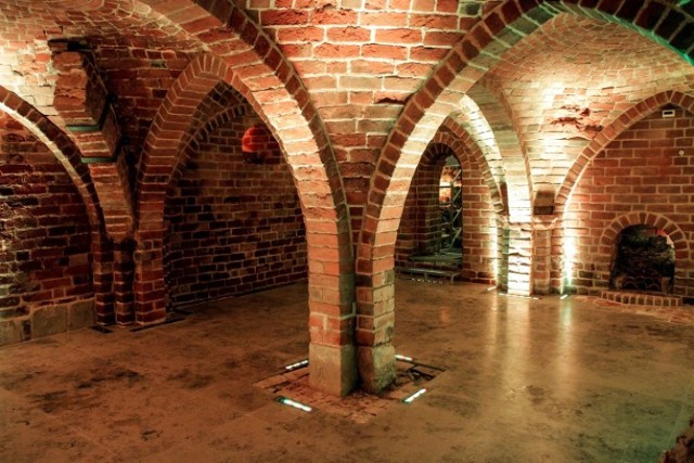 Muzeum Archeologiczne w Gdańsku zostało nominowane w kategorii „Wystawa” za udostępnienie XIII-wiecznej „Piwnicy romańskiej” przy Placu Dominikańskim w Gdańsku.