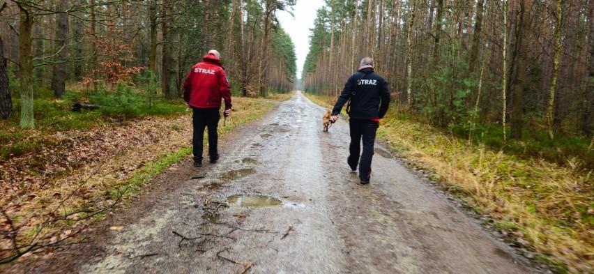 Szeroko zakrojone poszukiwania 92-latki pod Wałbrzychem. Okolice Chełmca przeczesują strażacy z psami i policja