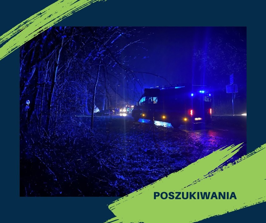 Szeroko zakrojone poszukiwania 92-latki pod Wałbrzychem. Okolice Chełmca przeczesują strażacy z psami i policja