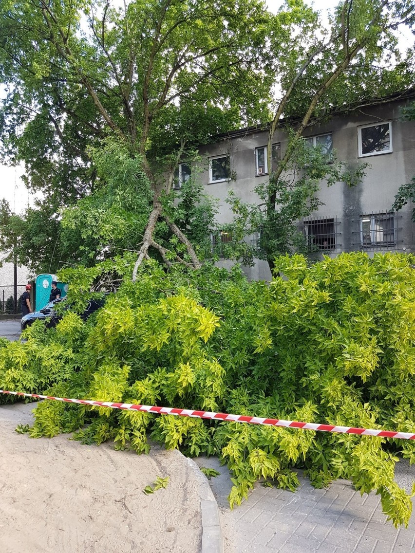 Do zdarzenia doszło około godziny 17 na wysokości ulicy...