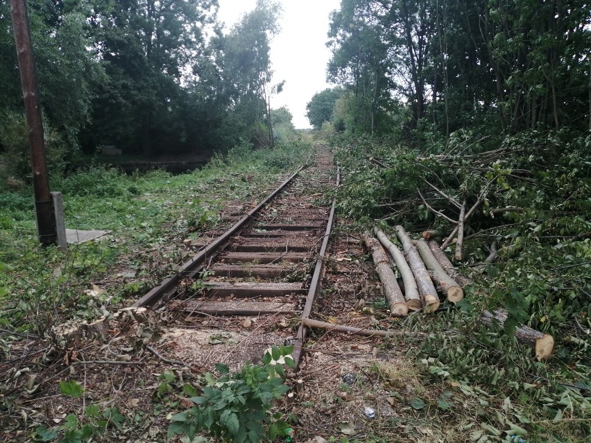 Tak wyglądały tory we wsi Biała we wrześniu 2021 r.