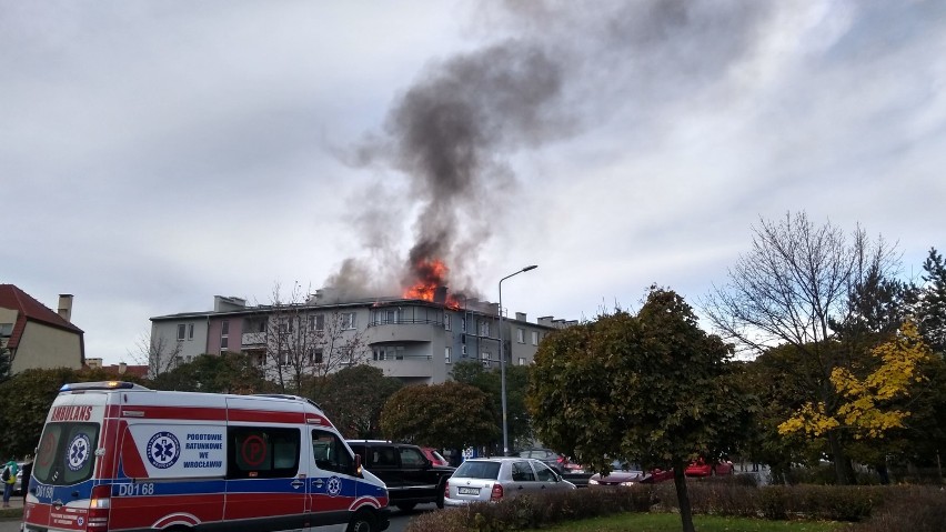 Pożar na Muchoborze Wielkim. 10 zastępów strażaków w akcji [ZDJĘCIA]