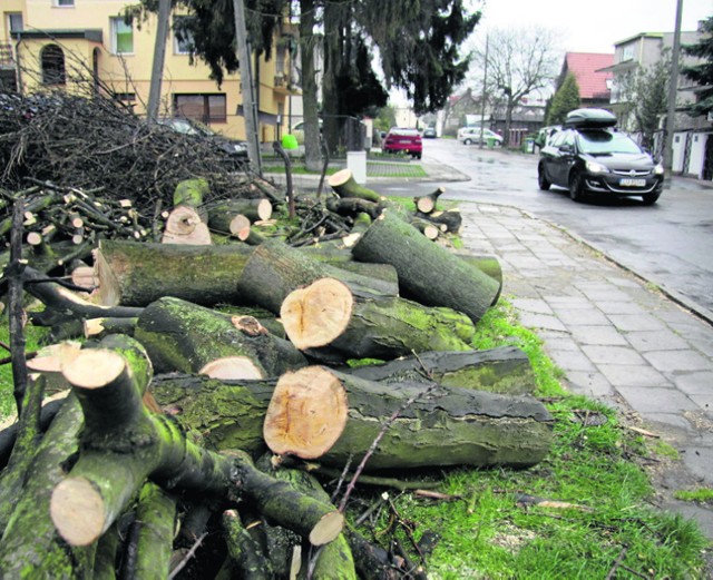 Wycięli drzewa przy ul. Rogińskiego. Dla bezpieczeństwa