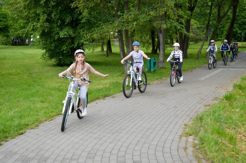 Ponad 500 uczniów będzińskich szkół zdawało egzamin na kartę...