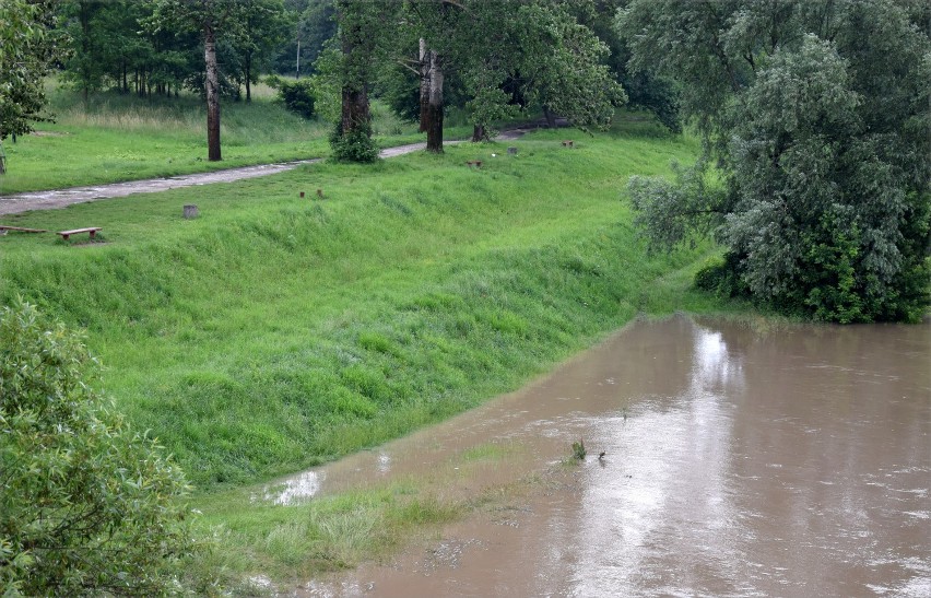 Wysoki stan wody w Sanie w Jarosławiu. Poziom wody to 350 cm. Do stanu ostrzegawczego brakuje 90 cm [ZDJĘCIA]