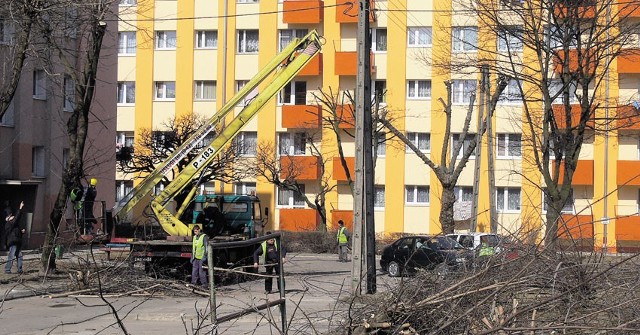 Zieleń Miejska przycina drzewa na ul. Konopnickiej