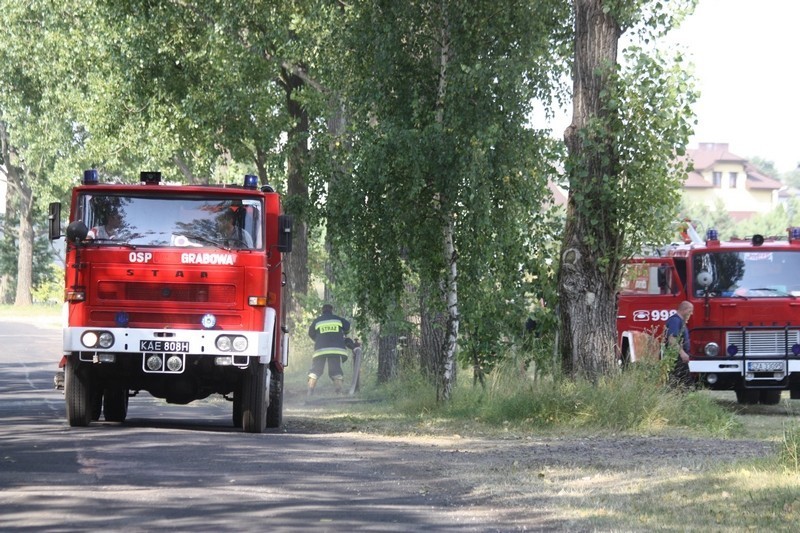 Pożar na Krępie w Ogrodzieńcu: Płonął las.