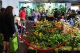 Festiwal Roślin Owadożernych i Światowa wystawa orchidei, bonsai i sukulentów. Dwa wielkie wydarzenia na Stadionie Narodowym w ten weekend