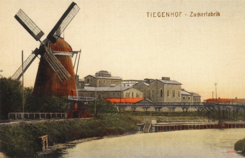 Tiegenhof retro. Cukrownia z 1870 roku wielokrotnie zmieniała właścicieli.