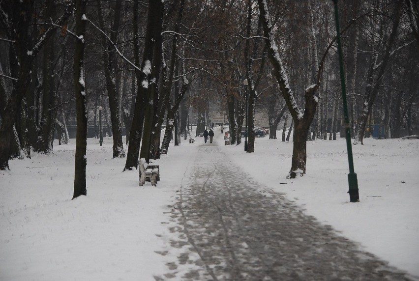 Ataki zimy w Tomaszowie i okolicy na archiwalnych zdjęciach. Kto pamięta skuty lodem Zalew Sulejowski?