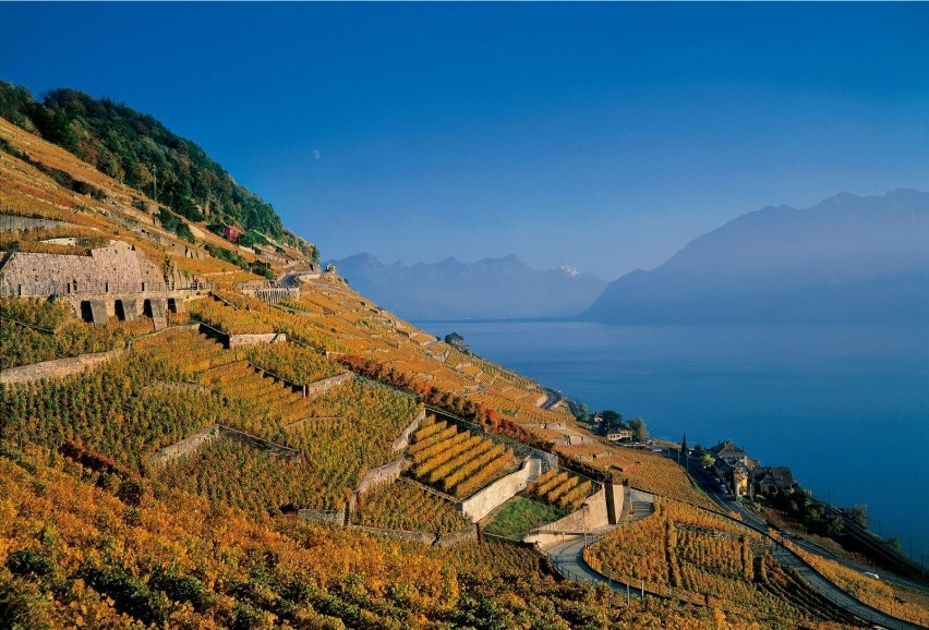 Region Lavaux