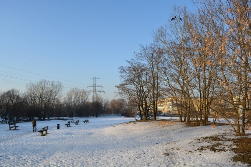 Parki w Warszawie
