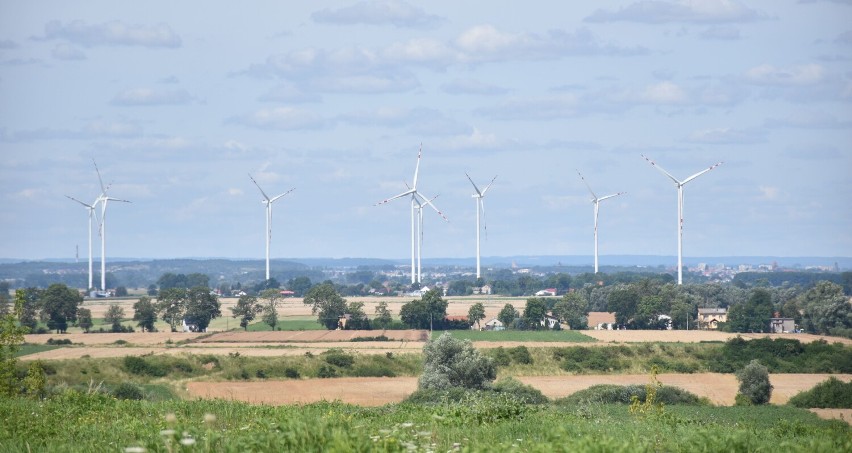 Malbork. Trzeci spacer z przewodnikiem PTTK. Tym razem mieszkańcy chodzili po cmentarzu i lesie 