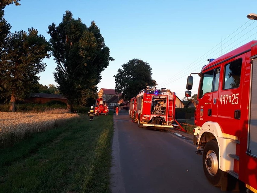 Gmina Grodzisk: Pożar budynku mieszkalnego w Młyniewie! Jest jedna osoba poszkodowana! 