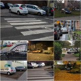 Parkingowe "święte krowy", czyli mistrzowie z Legnicy powracają [ZDJĘCIA]