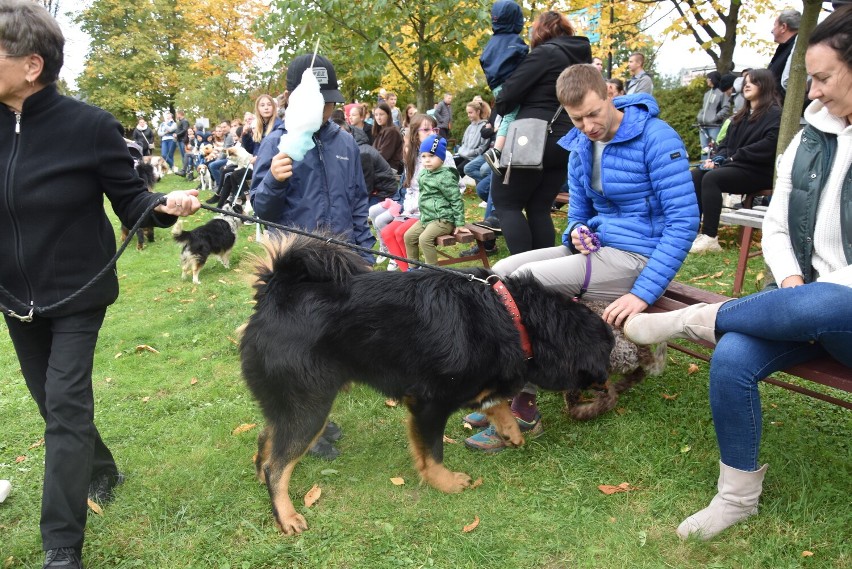 Kobylanka. Dog Piknik wokół sanktuarium z saletynami i Turbim, czyli dowód na to, że posługa nie musi zamykać się w kościelnych murach