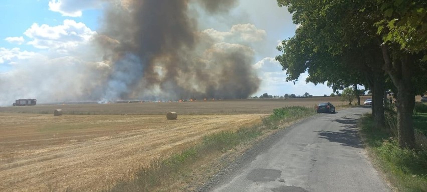 Gmina Mogilno - Duży pożar przy drodze w Bielicach pod Mogilnem. Zobaczcie zdjęcia i wideo!