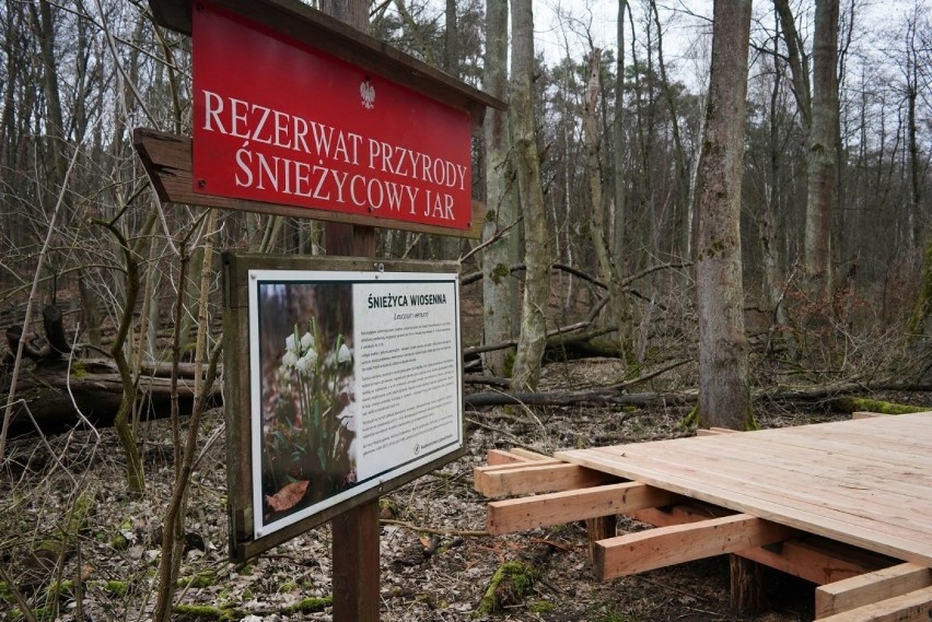 W tym roku wszyscy zwiedzający będą mogli obserwować...