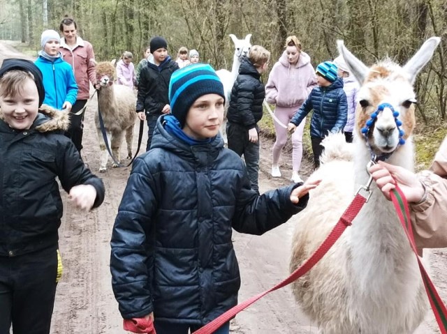 ZSP Przyprostynia gmina Zbąszyń - Wycieczka do Siedliska Józefówka w Sątopach i ZOO w Nowym Tomyślu - 21.04.2022